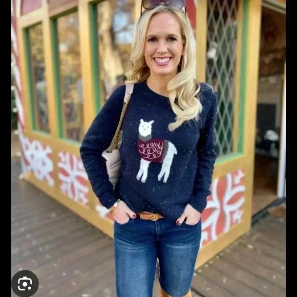 LOFT Women’s Navy Blue Llama Knit Long Sleeve Pullover Sweater Size XS - Picture 2 of 5